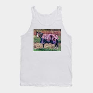 Horse in a Blanket Tank Top